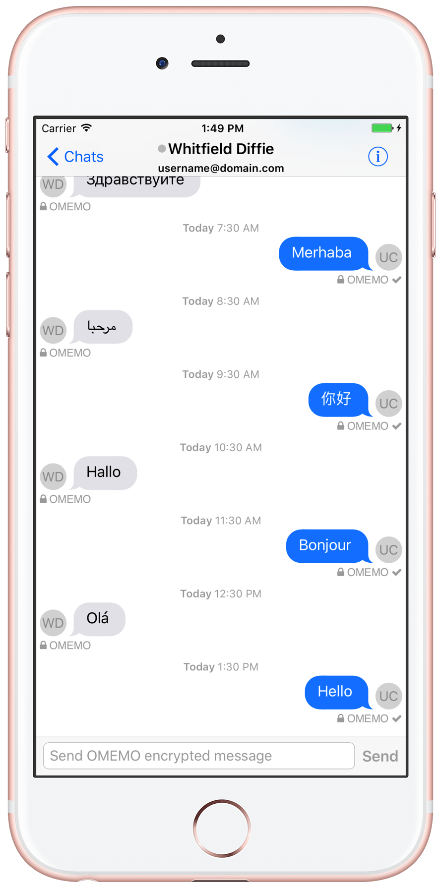 Chat view screenshot